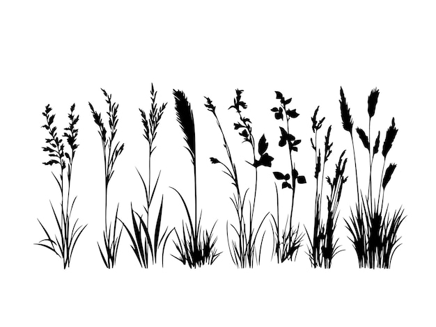 Vector a black and white drawing of grass and weeds