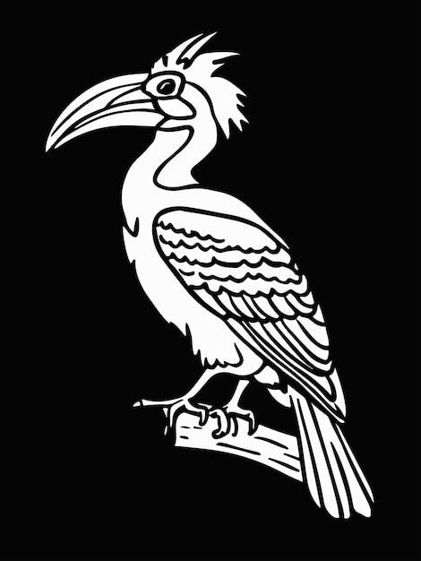 black and white drawing of a greathornbill with a black background