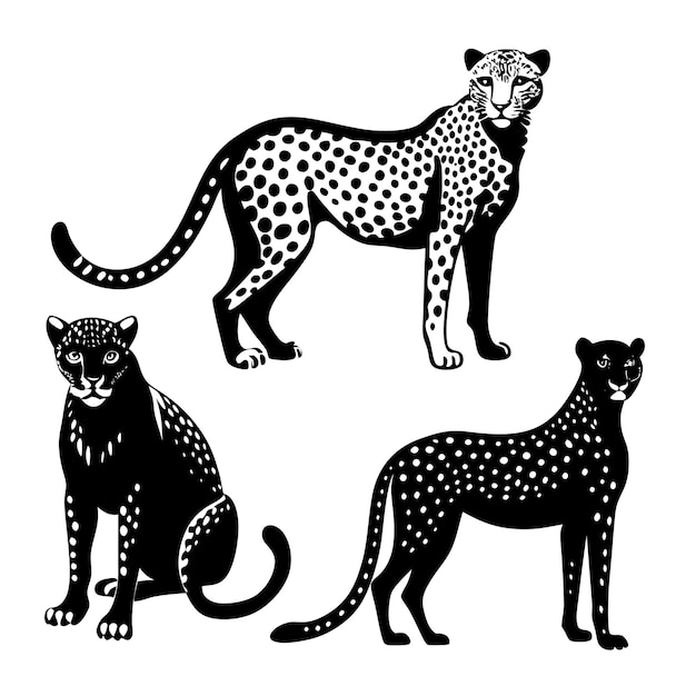 a black and white drawing of a leopard and cheetah