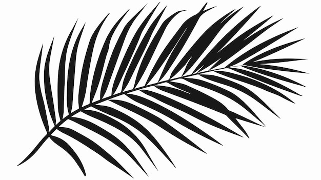 Vector a black and white drawing of a palm leaf