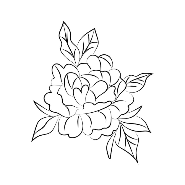 A black and white drawing of a peony flower.