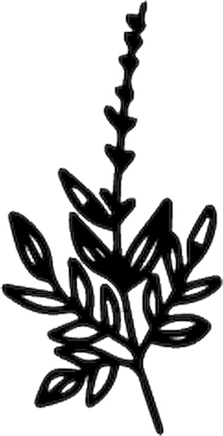 a black and white drawing of a plant with a black outline