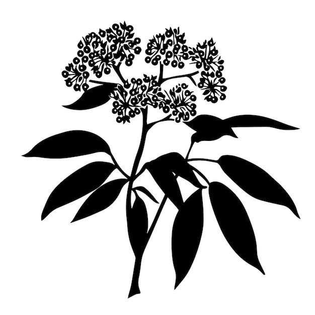 Vector a black and white drawing of a plant with flowers and leaves