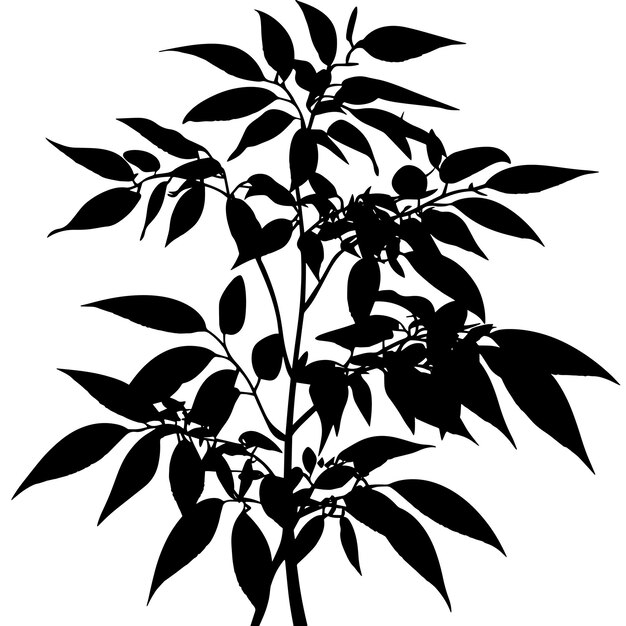 Vector a black and white drawing of a plant with the leaves and the word sprouts