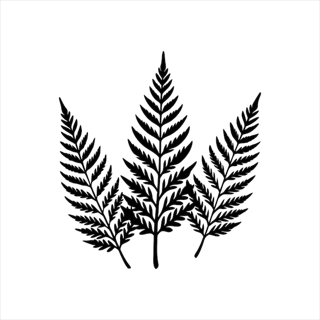 a black and white drawing of a plant with leaves