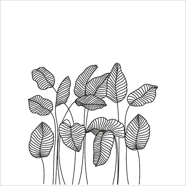 A black and white drawing of a plant with leaves