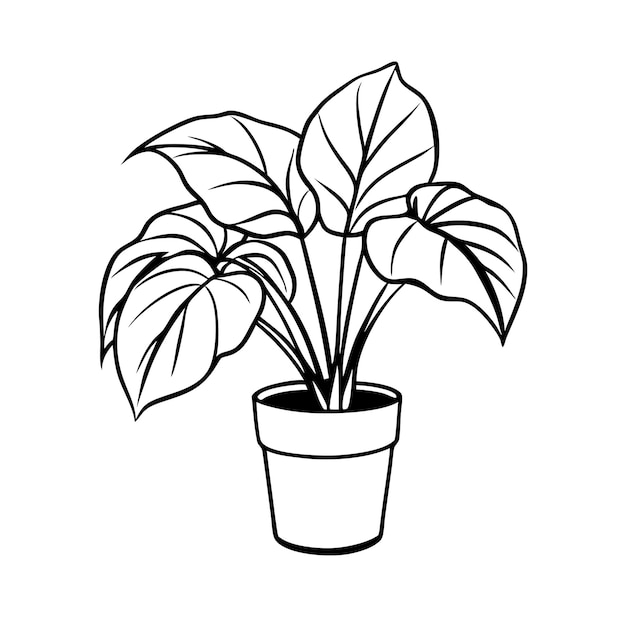 Vector a black and white drawing of a plant with a plant in it