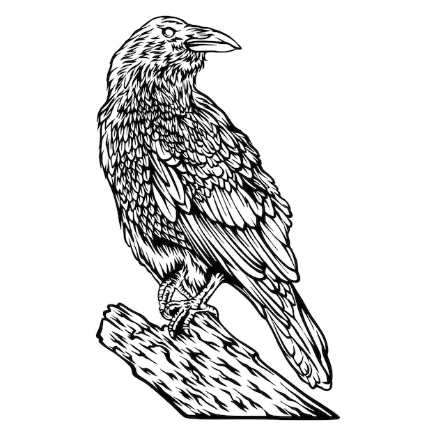 A black and white drawing of a raven on a tree stump.