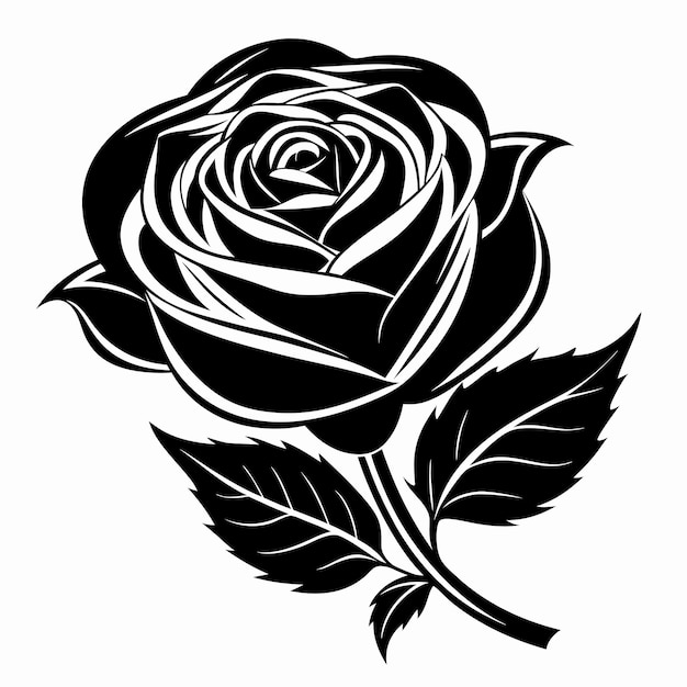 a black and white drawing of a rose with a leaf on it