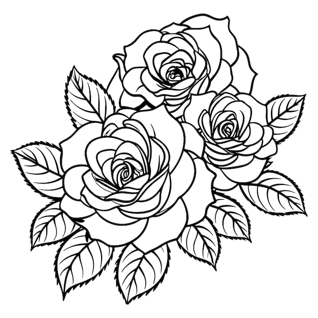 a black and white drawing of roses with leaves and leaves