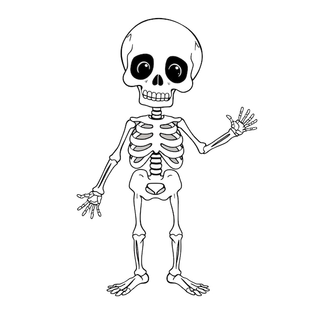 a black and white drawing of a skeleton with the words quot skeleton quot on it