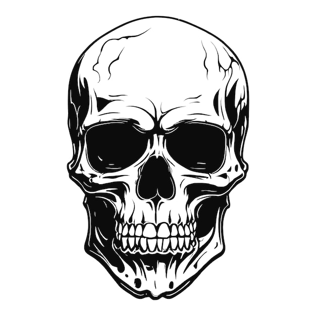 a black and white drawing of a skull and a skull