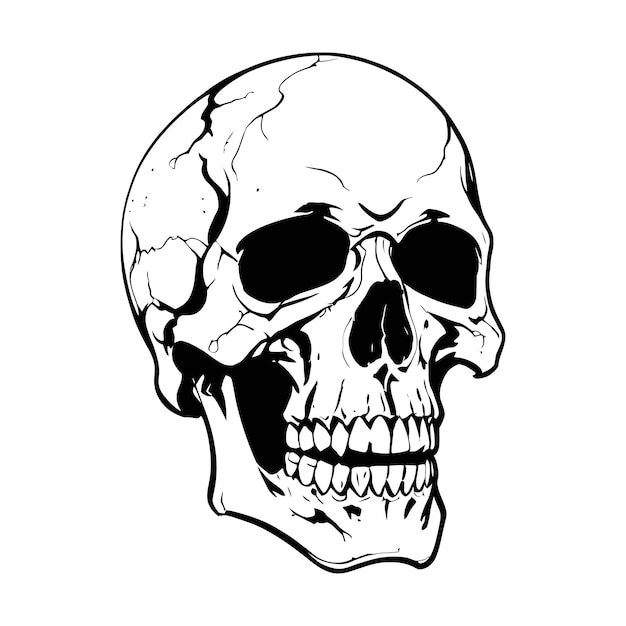 a black and white drawing of a skull with a black and white background