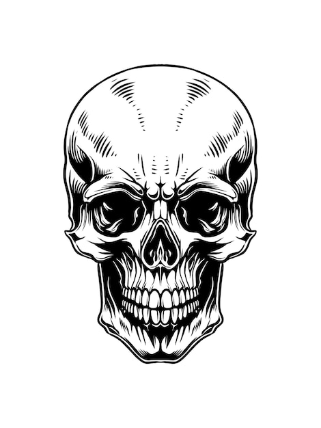 a black and white drawing of a skull with a white outline