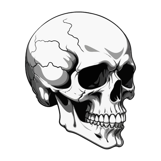 a black and white drawing of a skull with a white spot on it