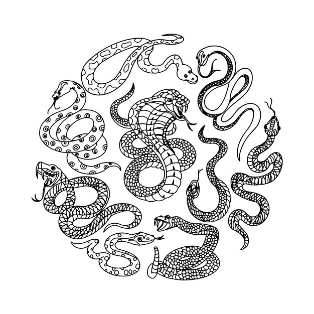 Vector a black and white drawing of a snake with a snake on it