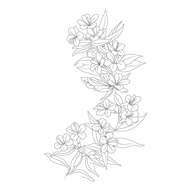 black and white flower coloring page