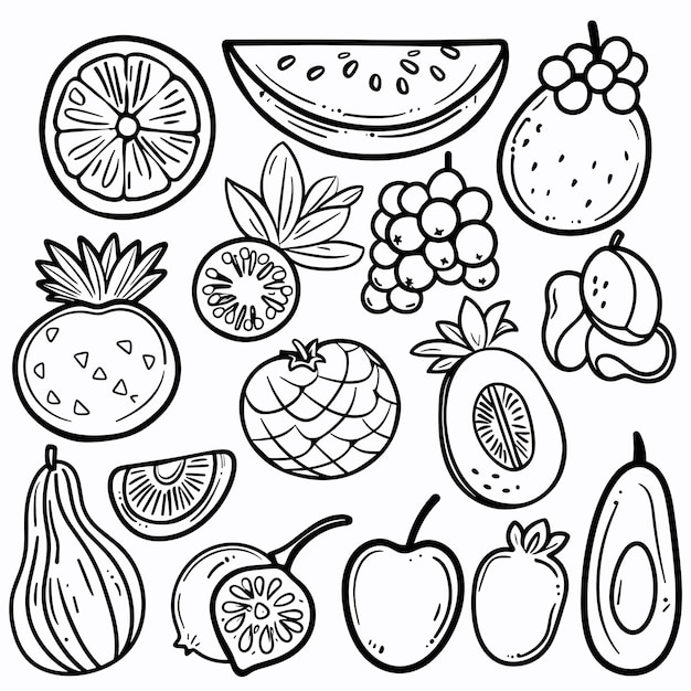 Black and white fruit outline illustrations for design