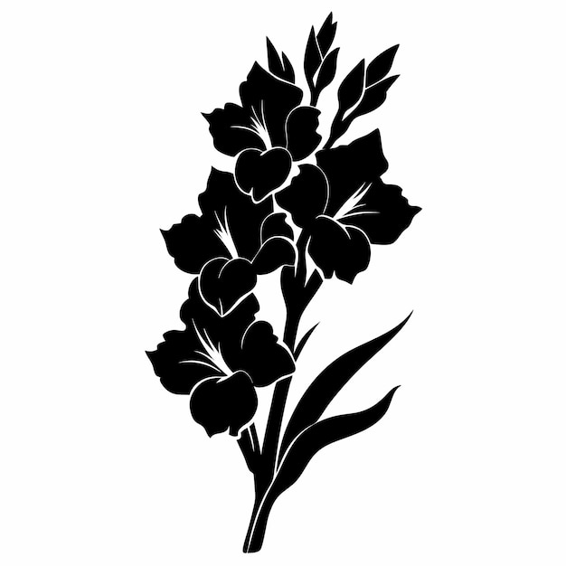 Vector a black white gladiolus vector style silhouette illustration