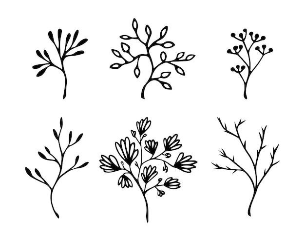 Black and white hand drawn elements of plants