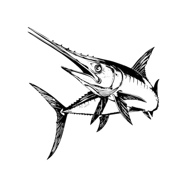 Vector black and white hand drawn illustration of sword fish isolated on white hand made vector