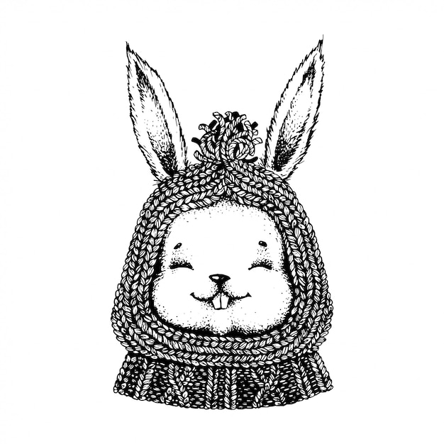 Black and white hare in a hat and sweater.