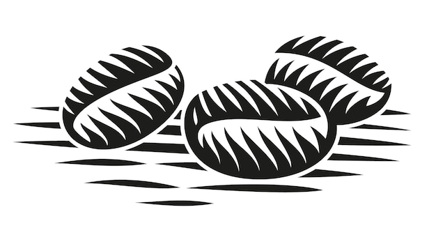 A black and white illustration of coffee beans in engraving style