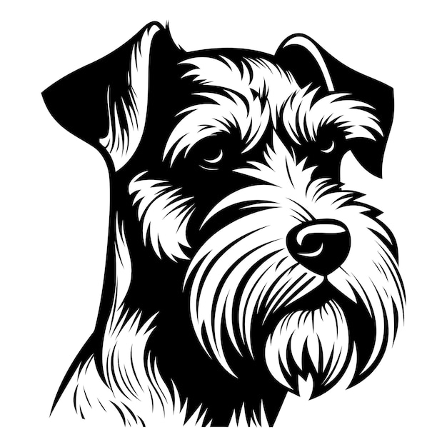 Black and white illustration of a miniature schnauzer head