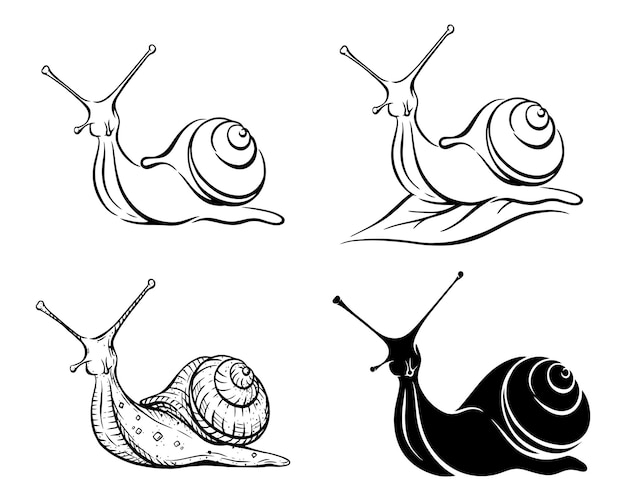 Black and white illustration of a set of snails