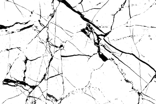 A black and white image of a cracked marble texture.