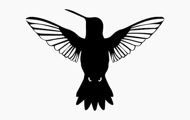 a black and white image of a hummingbird with a black outline