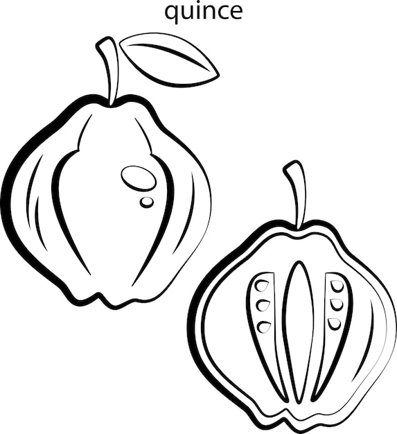 Black and white images of fruits for coloring.