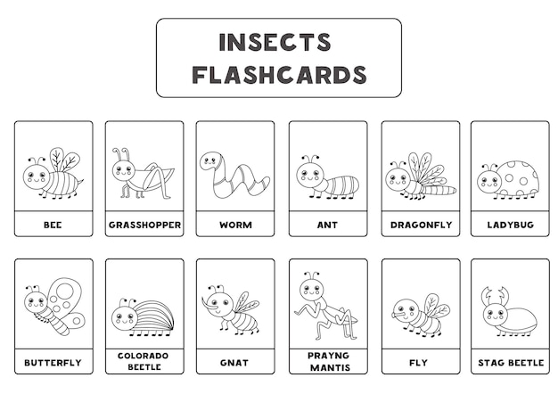 Black and white insect flashcards for kids