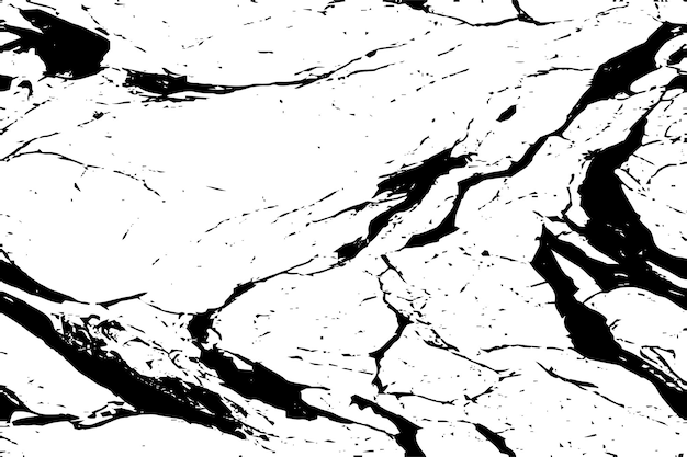 A black and white marble texture with a black and white background.