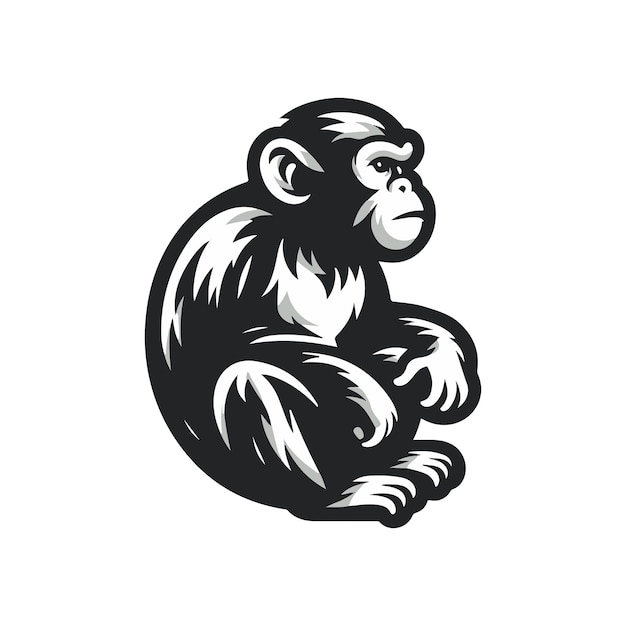 a black and white monkey with a white background sitting chimpanzee