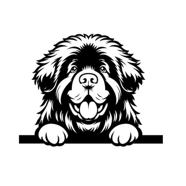 Black And White Newfoundland dog peeking face Silhouette Vector