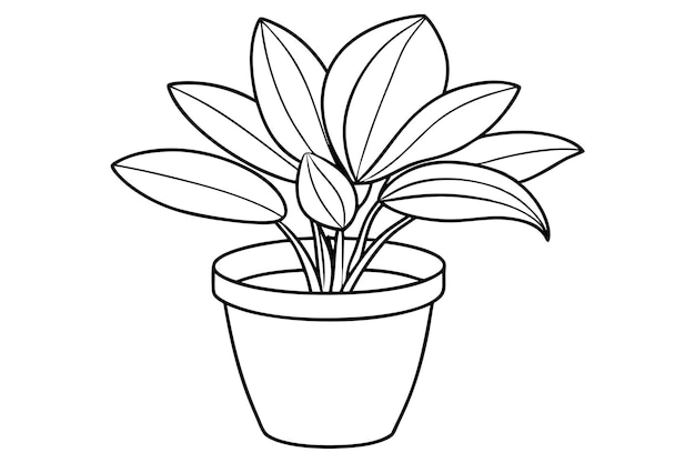 Vector black and white outline of potted plant illustration