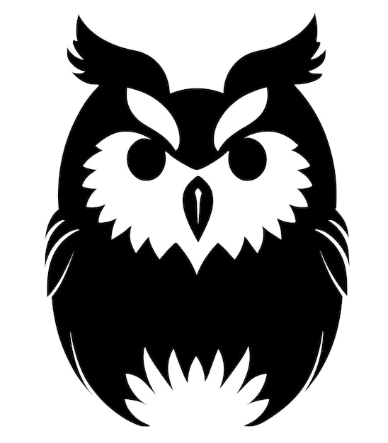 A black and white owl with a white face and black eyes sits on a white background.