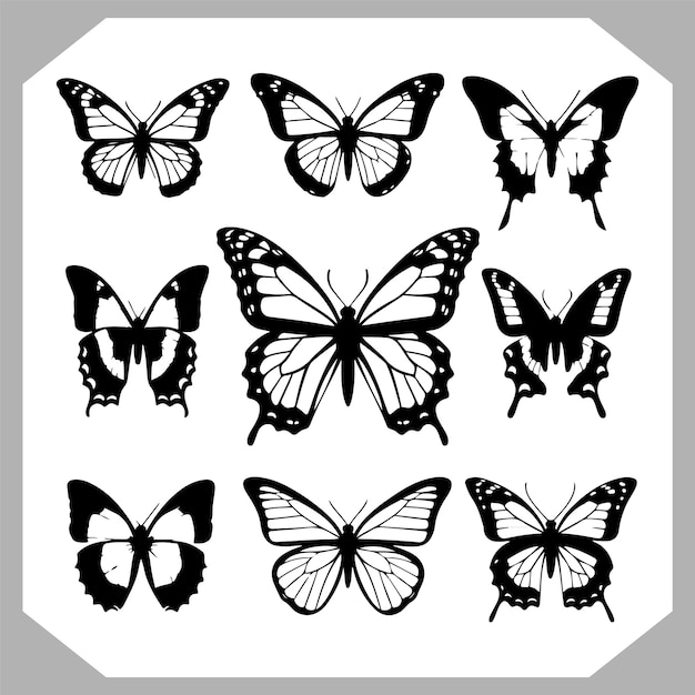 a black and white photo of butterflies and butterflies