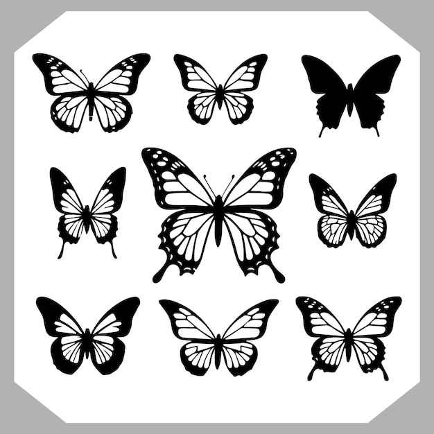 a black and white photo of butterflies with black and white markings