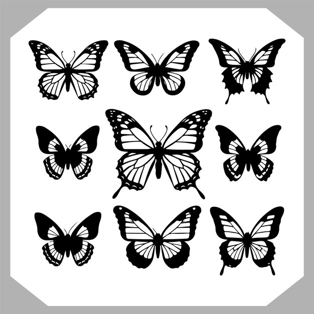 a black and white photo of butterflies with black and white markings