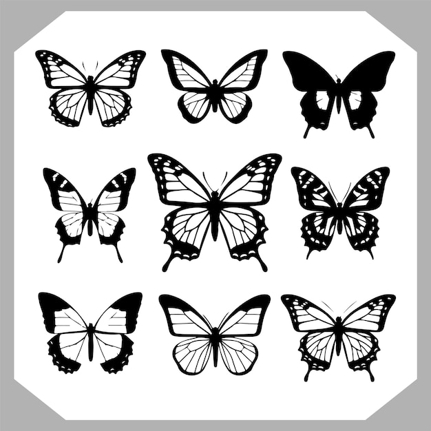 a black and white photo of butterflies with black and white markings