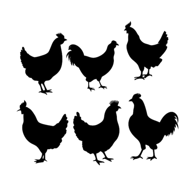 a black and white photo of a chicken with the words chickens on it