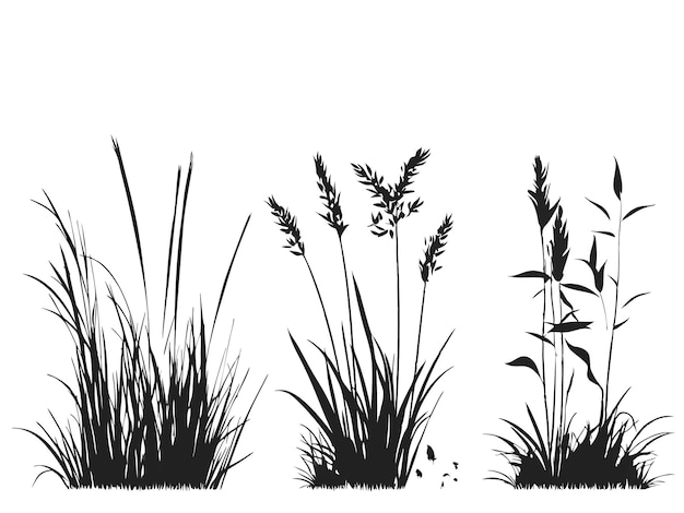 Vector a black and white photo of grass and weeds with a white background