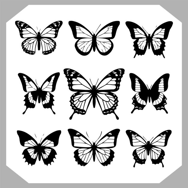 a black and white picture of butterflies with black and white markings