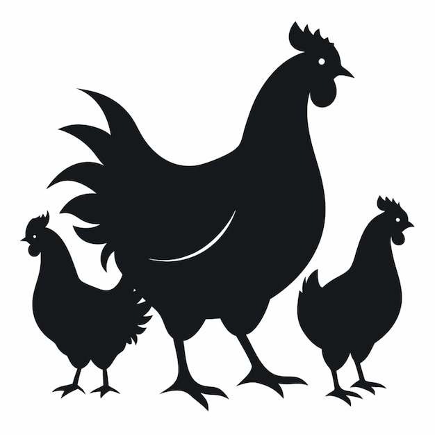 a black and white picture of a chicken and a chicken