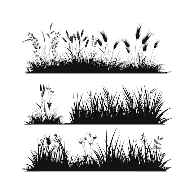 Vector a black and white picture of grass with the words  wild  on it