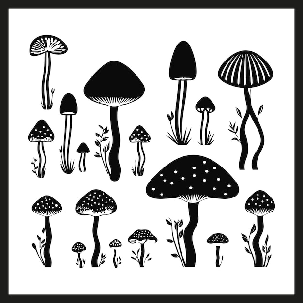 a black and white picture of mushrooms and mushrooms