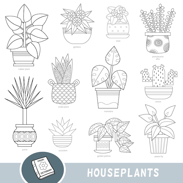 Black and white set of houseplants with names in English Cartoon visual dictionary about flowers