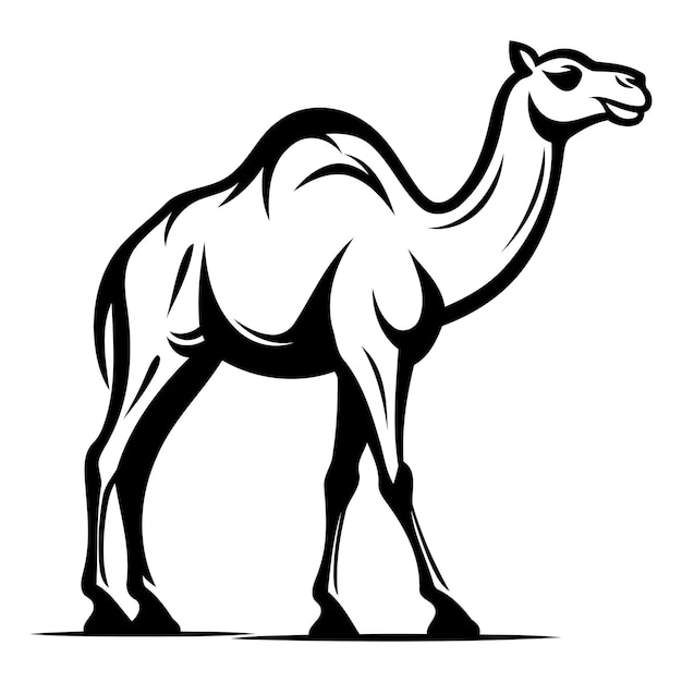 Vector black and white silhouette of a camel perfect for branding logo or tattoo design